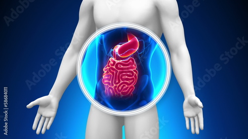 Medical X-Ray Scan - Guts