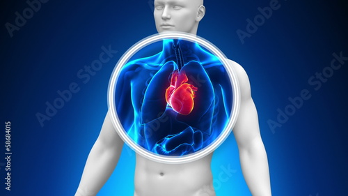 Medical X-Ray Scan - Heart