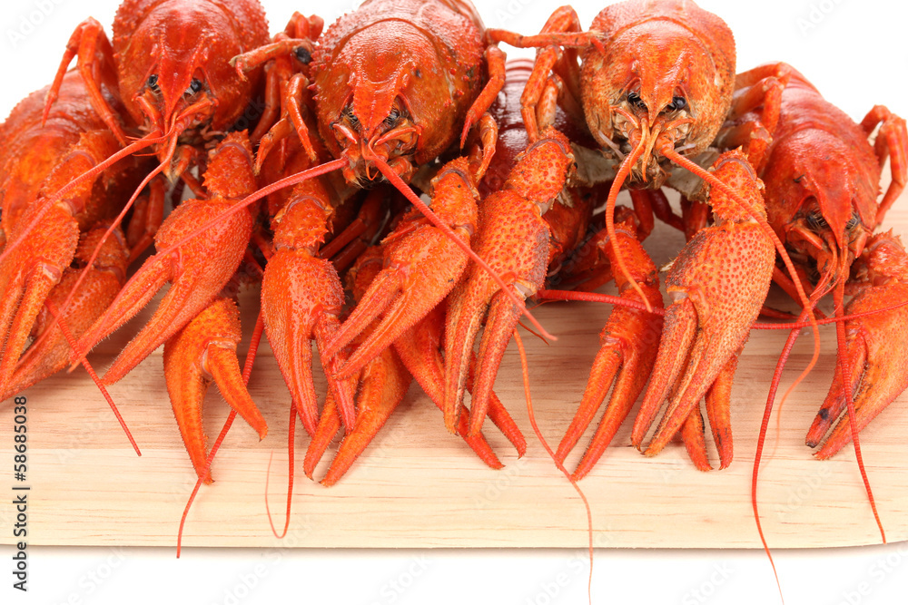 Tasty boiled crayfishes on chopping board close-up Tasty boiled crayfishes on chopping board close-up