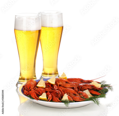 boiled crayfishes and beer isolated on white