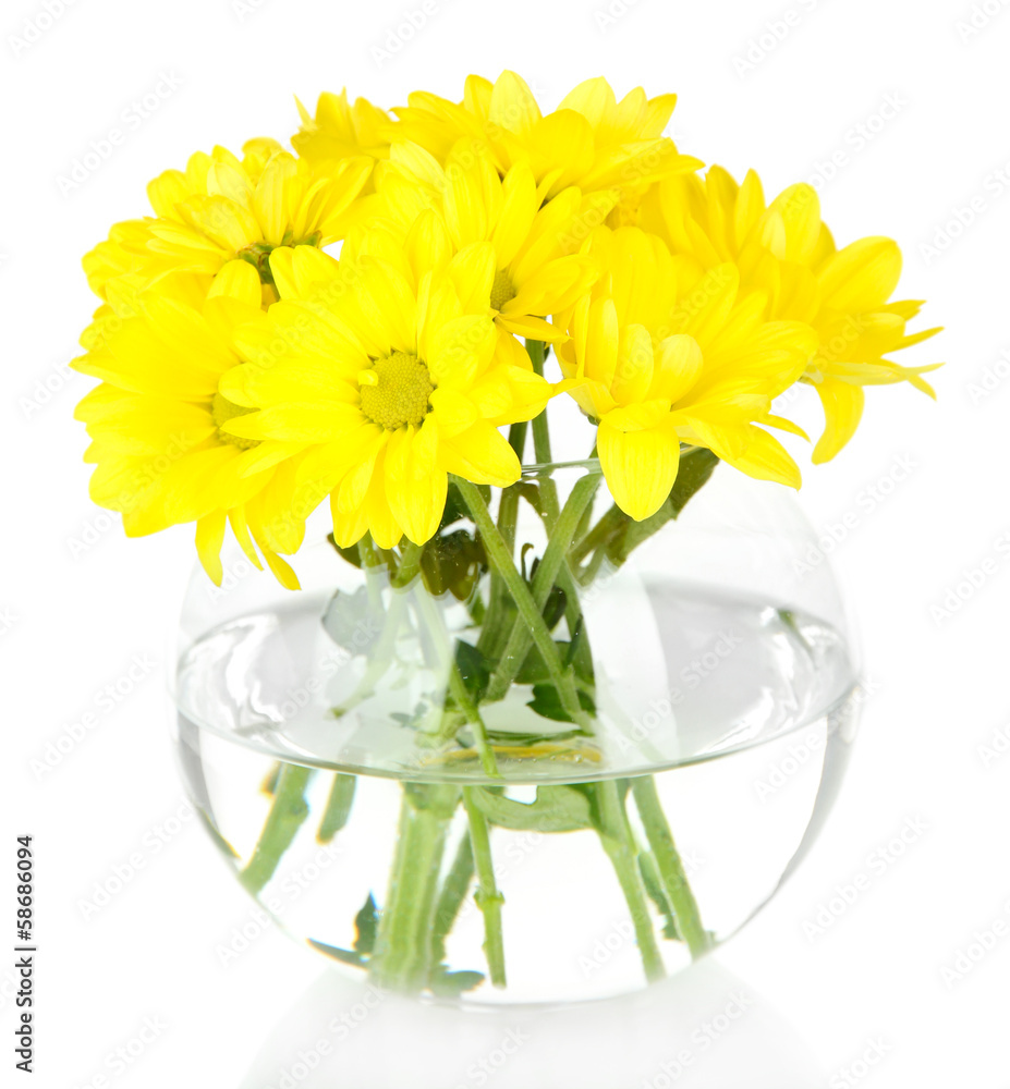 Beautiful flowers in bowl isolated on white