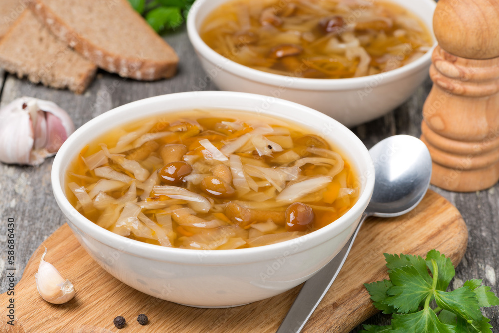Russian cabbage soup with wild mushrooms Russian cabbage soup with wild mushrooms