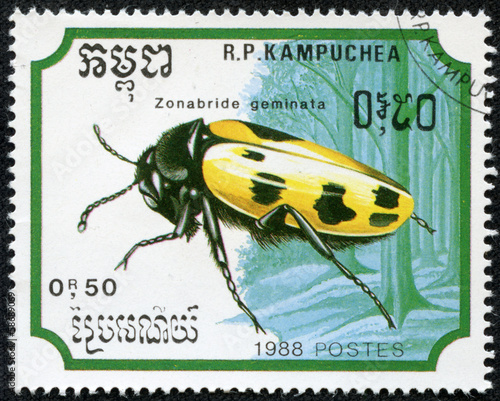 stamp printed in the Republic of Kampuchea, shows insect photo