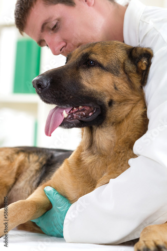 veterinarian hugging dog