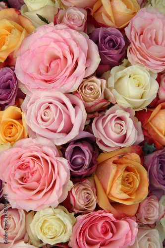 Mixed pastel roses