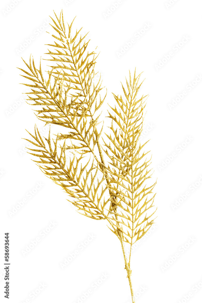 Picture of a gold separate twig. Picture of a gold separate twig.