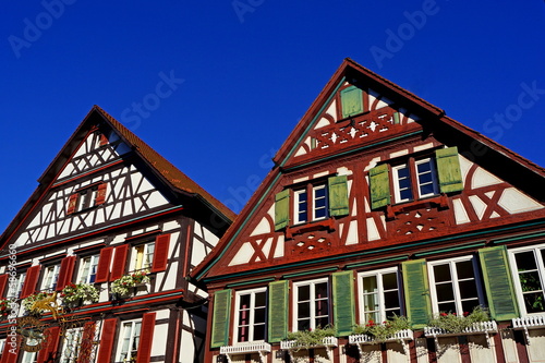 WOLFACH ( Schwarzwald ) - Altstadtpanorama