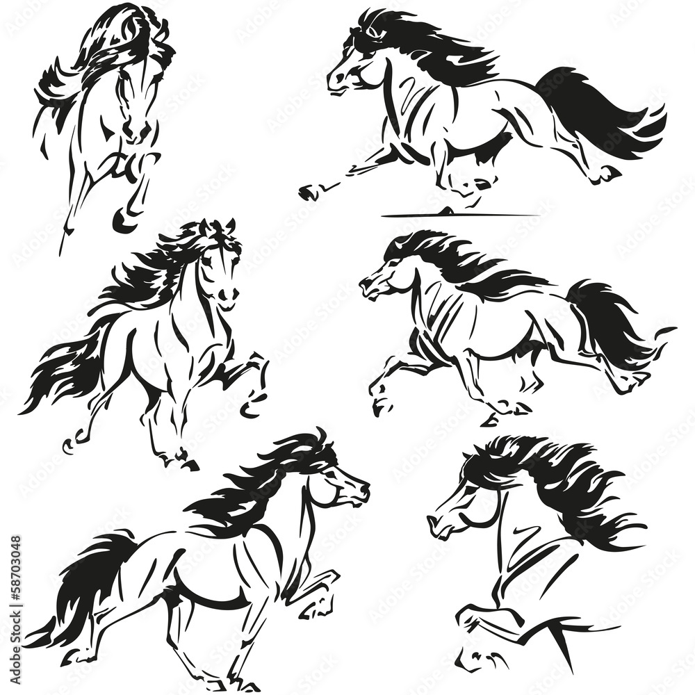 Fototapeta premium icelandic horses