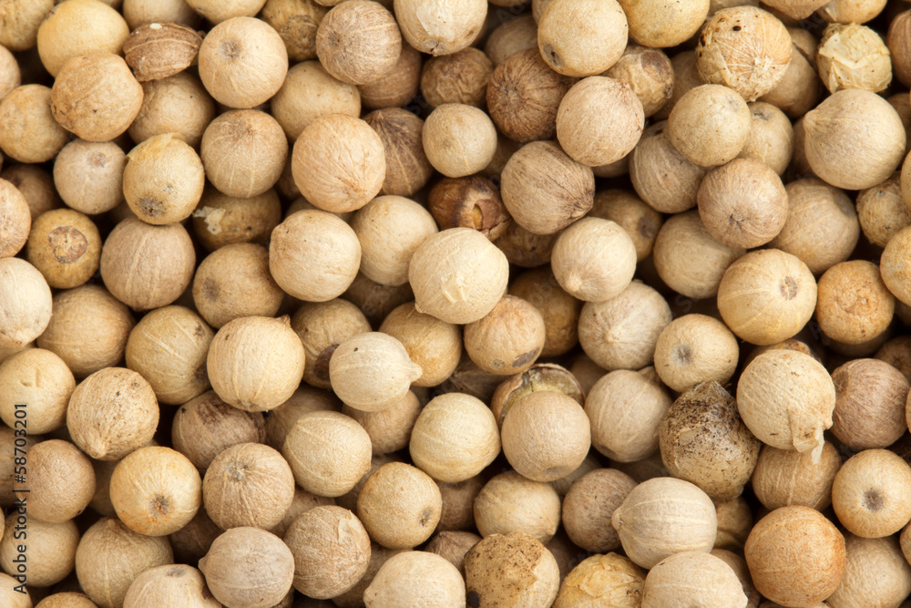 background of white peppercorns background of white peppercorns