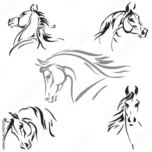 horses heads