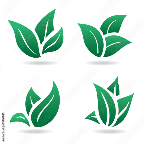 Green sign, eco leaves