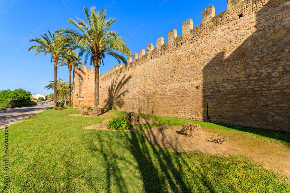 Palm trees in public garden area, Alcudia castle, Majorca