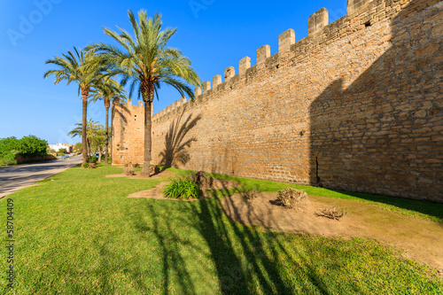 Palm trees in public garden area  Alcudia castle  Majorca