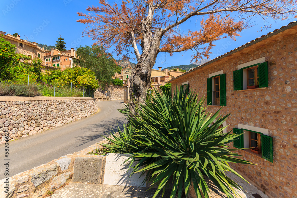 Road and houses on street of Fornalutx village, Majorca island
