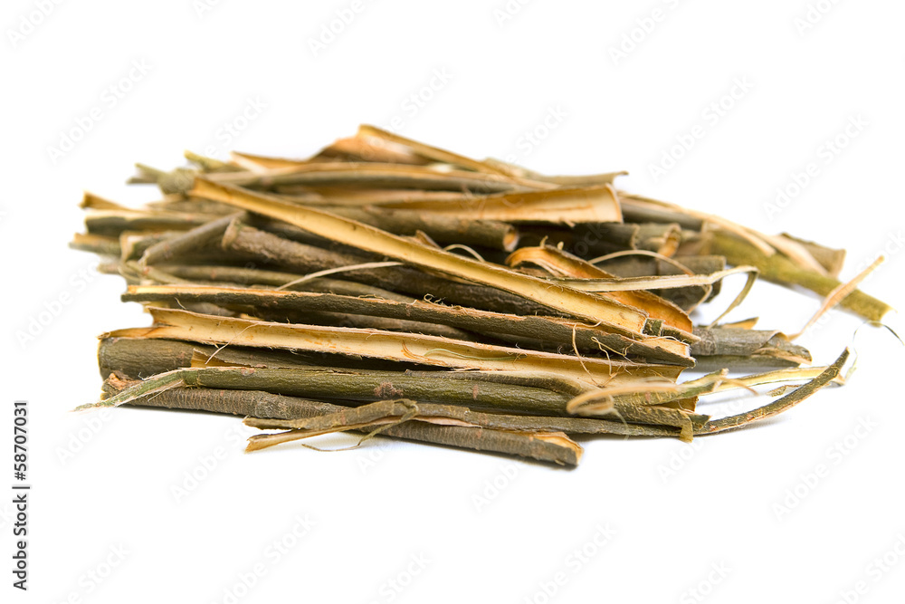 Fotografia Willow bark medical