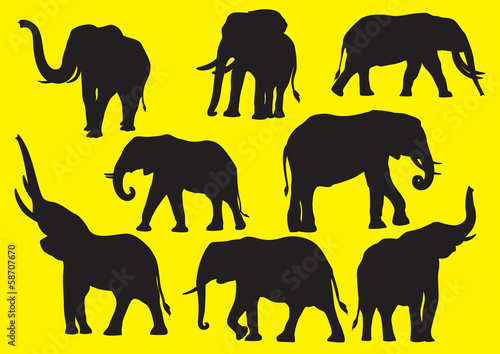 Photography Vector silhouettes of elephants
