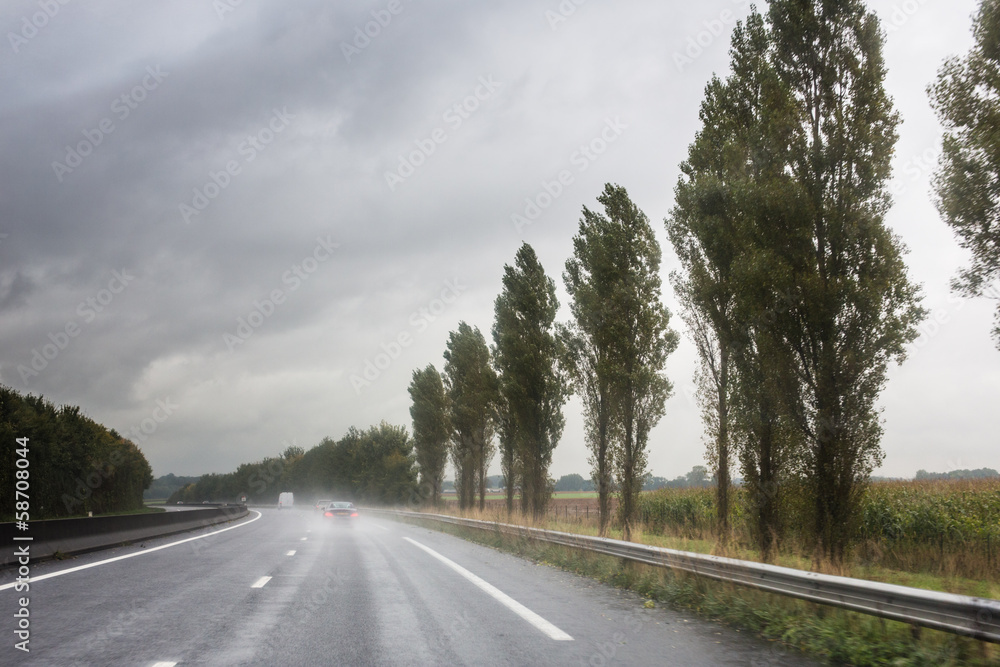 A wet treelined road