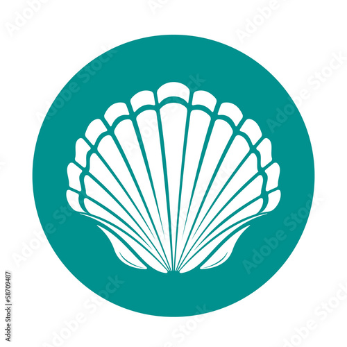Scallop sea shell