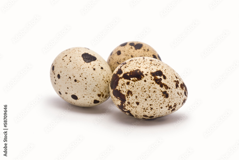 Quail Eggs isolated on white