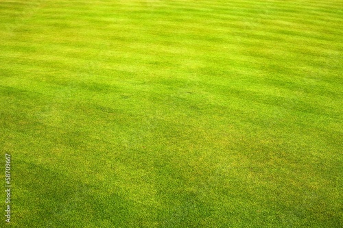 Green grass field of golf course