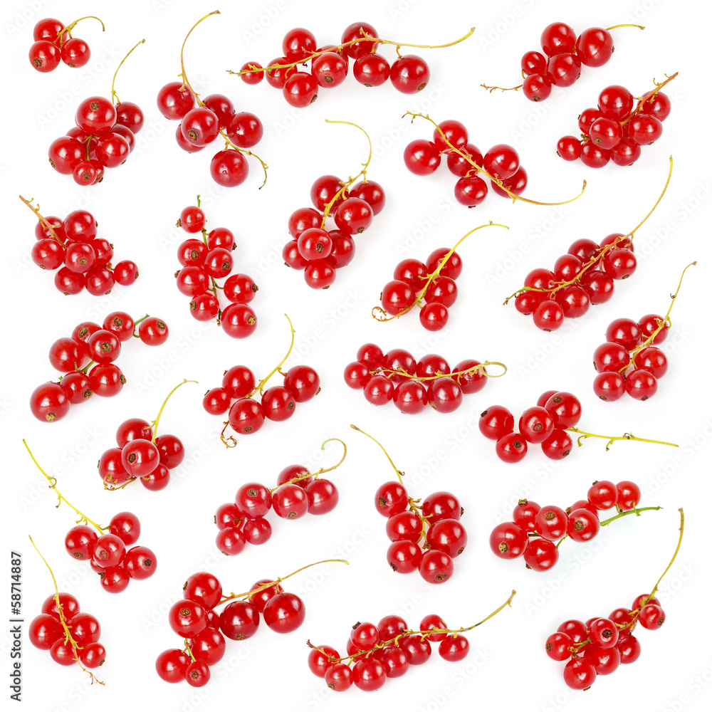 Red currant Red currant