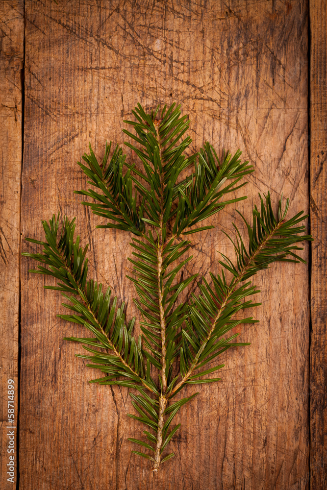 Green branch on wooden background Green branch on wooden background