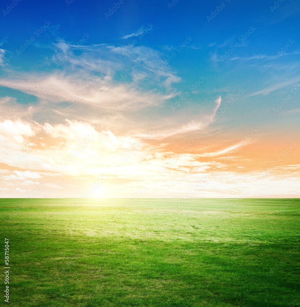 Sky and green meadow