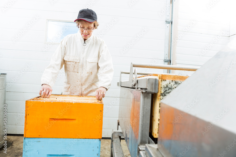 Beekeeper With Honeycomb Crates Working In Factory Beekeeper With Honeycomb Crates Working In Factory