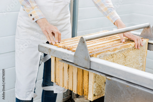 Female Beekeeper Collecting Honeycombs From Machine