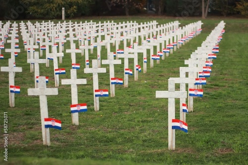 Crosses in Vukovar