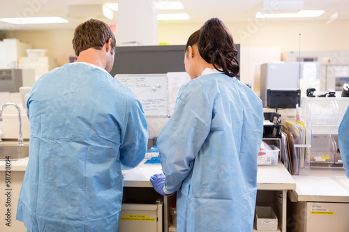 Scientists Working In Laboratory