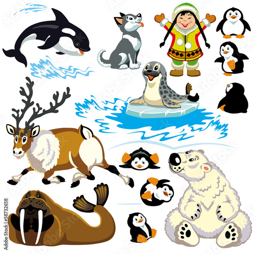 cartoon arctic set
