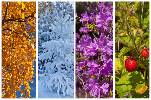 Collage. Colorful natural backgrounds. Four seasons. Calendar