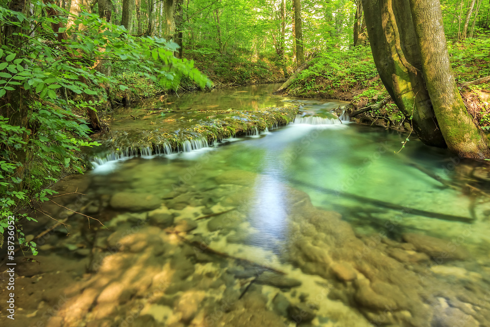 Obraz premium Clean river and waterfall in forest