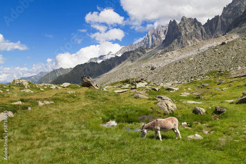 Foto Plan de l'Aiguille