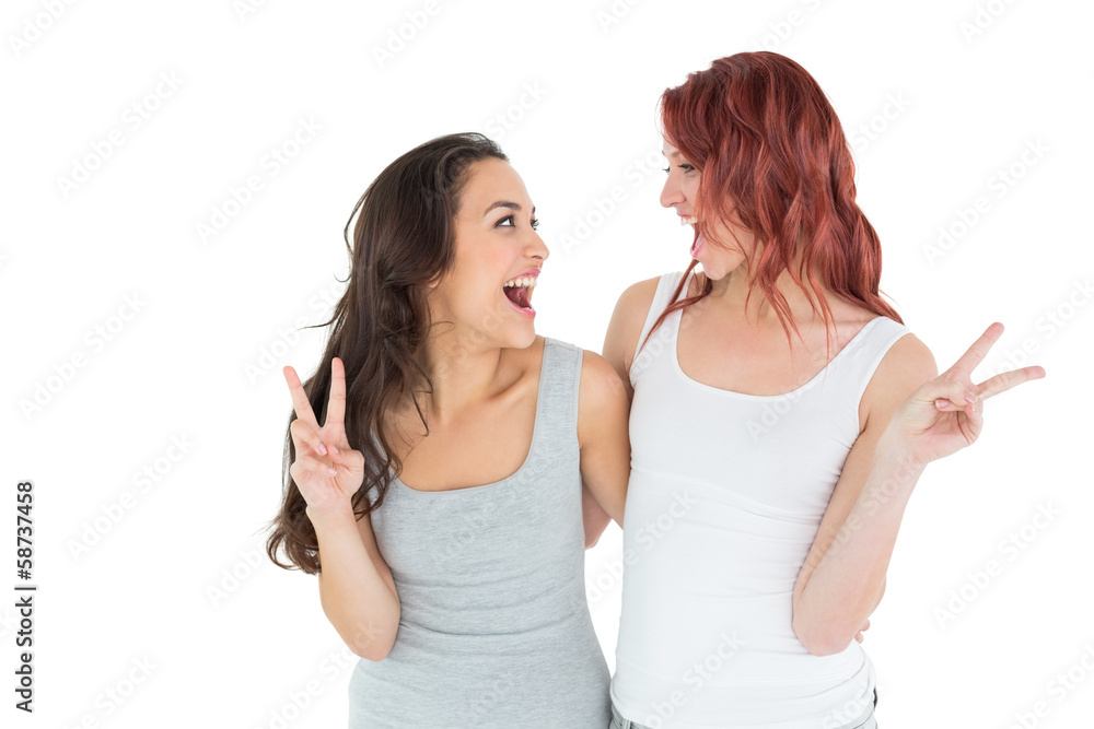 Two cheerful female friends gesturing peace sign Two cheerful female friends gesturing peace sign