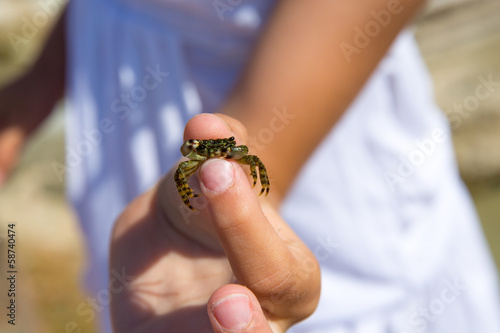 Kid holding little baby crab in hand during beach vacation