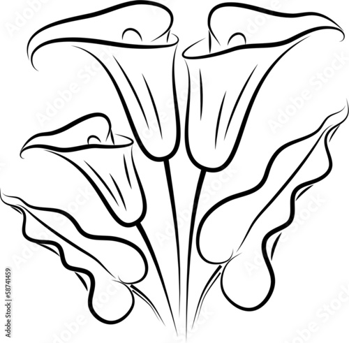 Fototapeta Naklejka Na Ścianę i Meble -  Callas silhouette