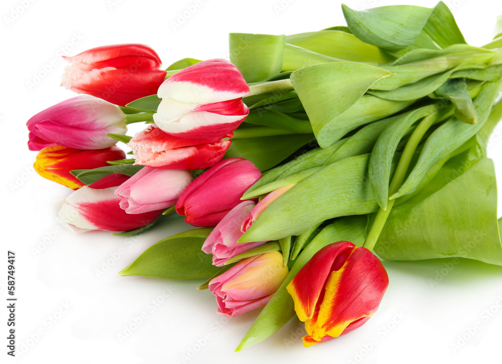 Beautiful tulips in bucket isolated on white Beautiful tulips in bucket isolated on white