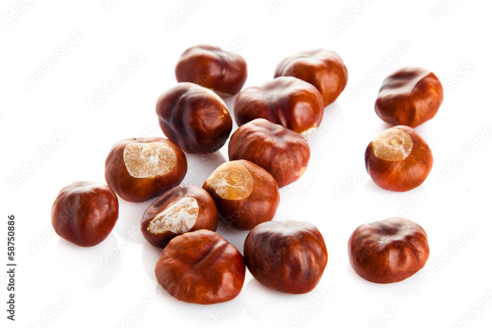 chestnuts isolated on white background chestnuts isolated on white background
