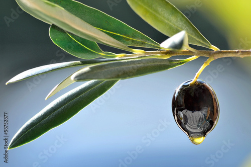 Fresh olive and oil drop closeup background copy space.