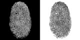 FINGERPRINT BLACK WHITE