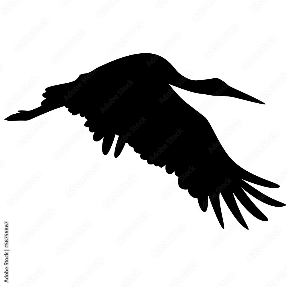 Storch Stock Vector | Adobe Stock