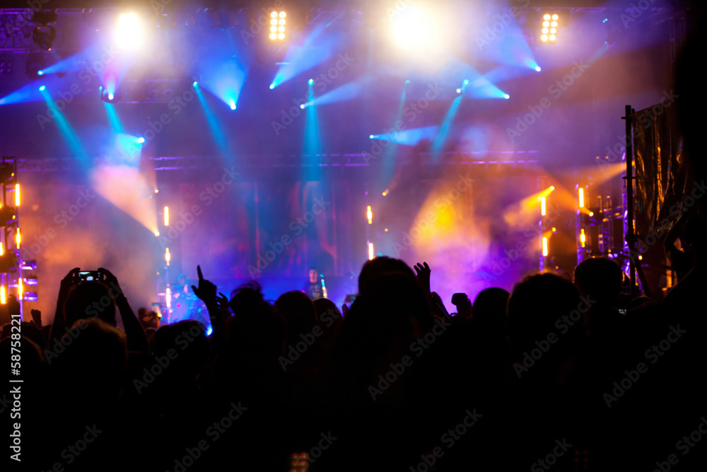 Cheering crowd at concert