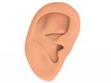 One ear #3