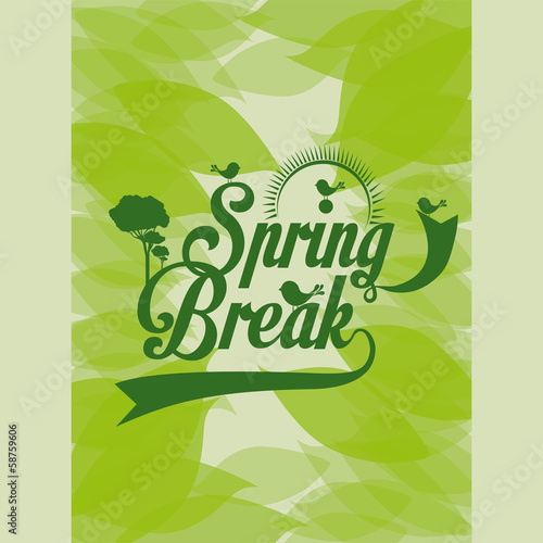 spring design