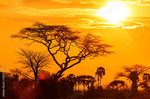 Orange glow of an african sunset