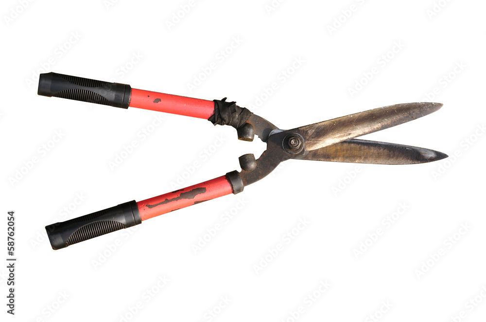 Isolate used grasses scissor on white background, clipping path Isolate used grasses scissor on white background, clipping path