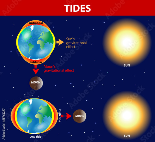 Tides. Vector diagram.