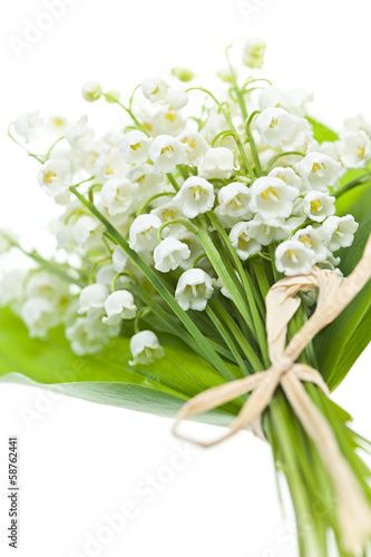 Fototapeta Naklejka Na Ścianę i Meble -  Lily-of-the-valley flowers on white